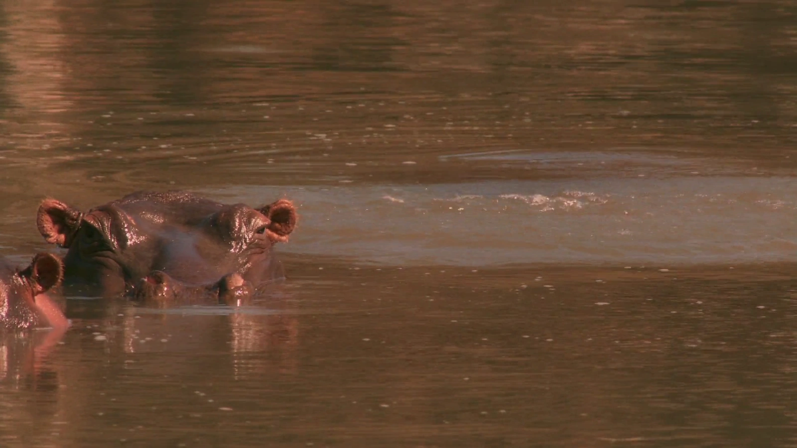 Against the Wild II: Survive the Serengeti screenshot 1