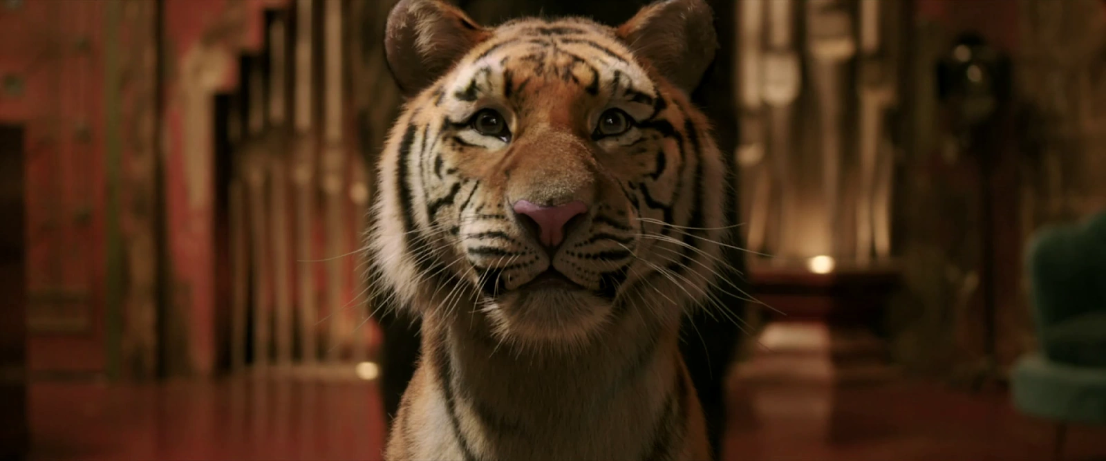 Tiger Robbers screenshot 3