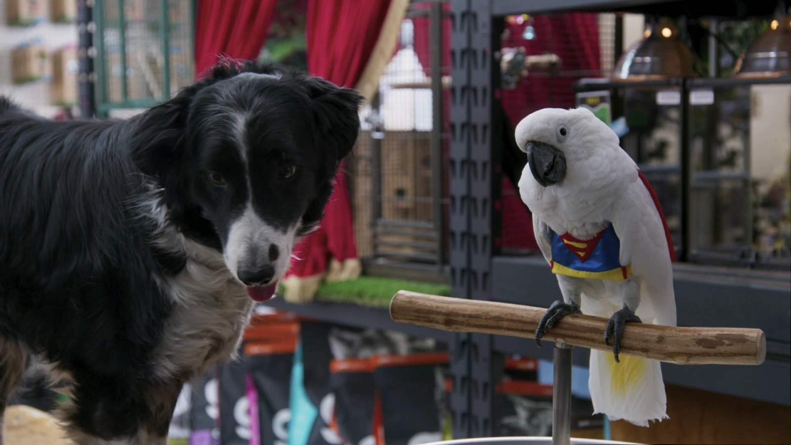 Cats & Dogs 3: Paws Unite screenshot 2