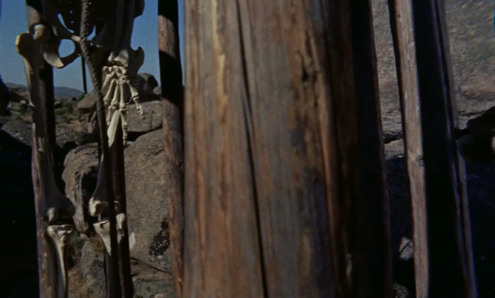 The 7th Voyage of Sinbad screenshot 1