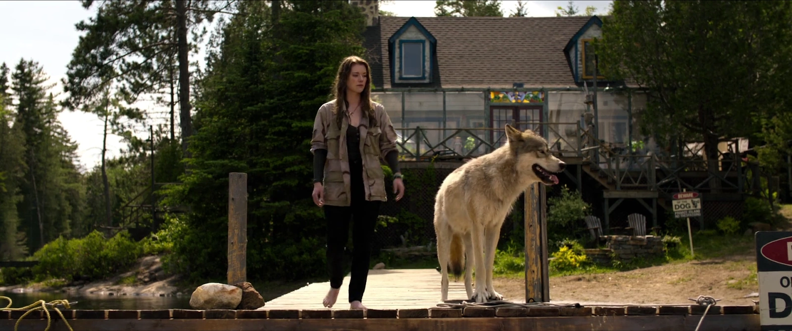 The Wolf and the Lion screenshot 4