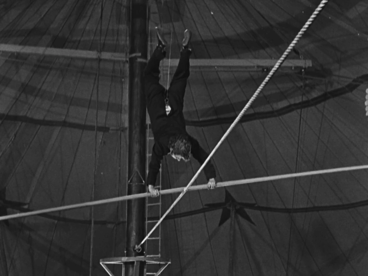 The Circus screenshot 5