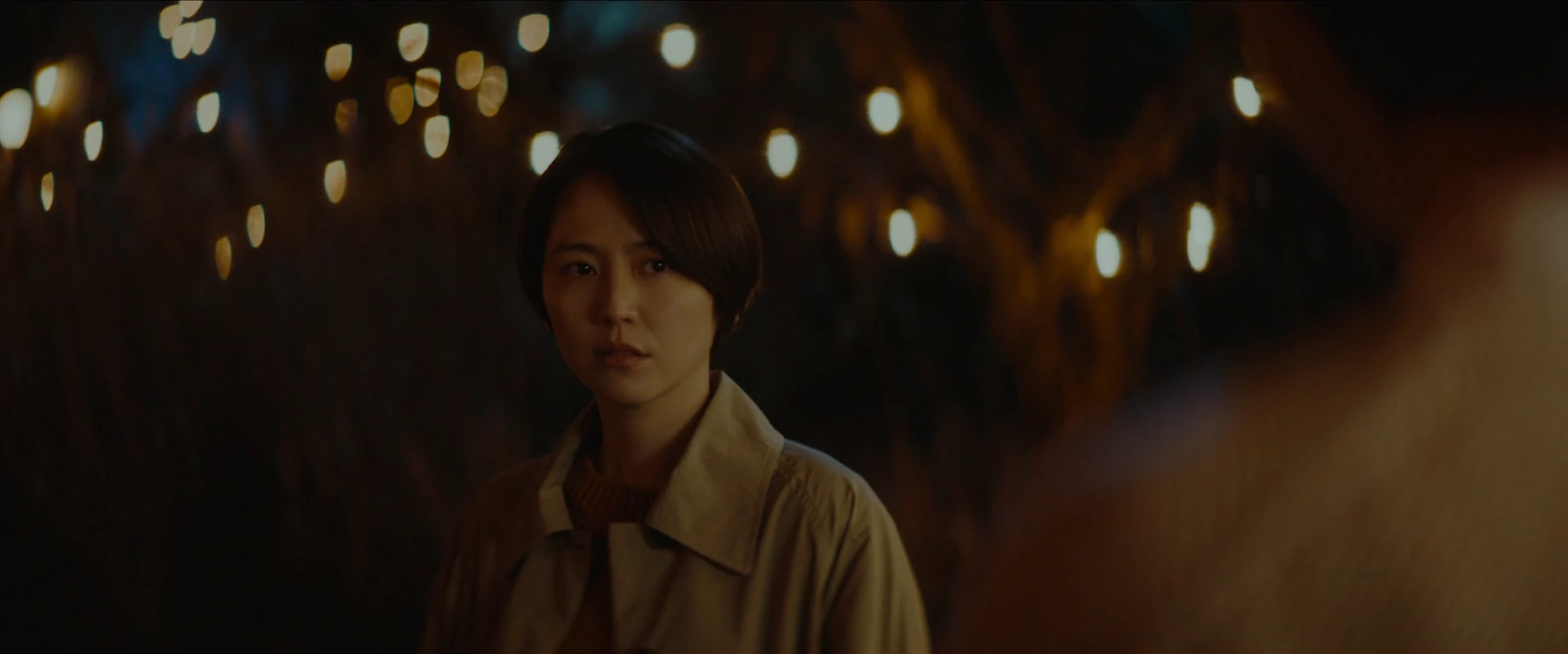 The Parades screenshot 4