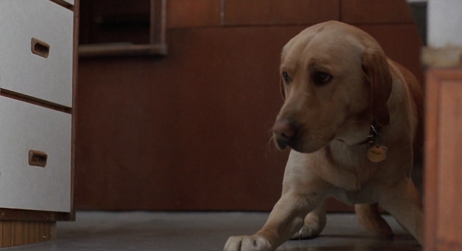 Far from Home: The Adventures of Yellow Dog screenshot 1