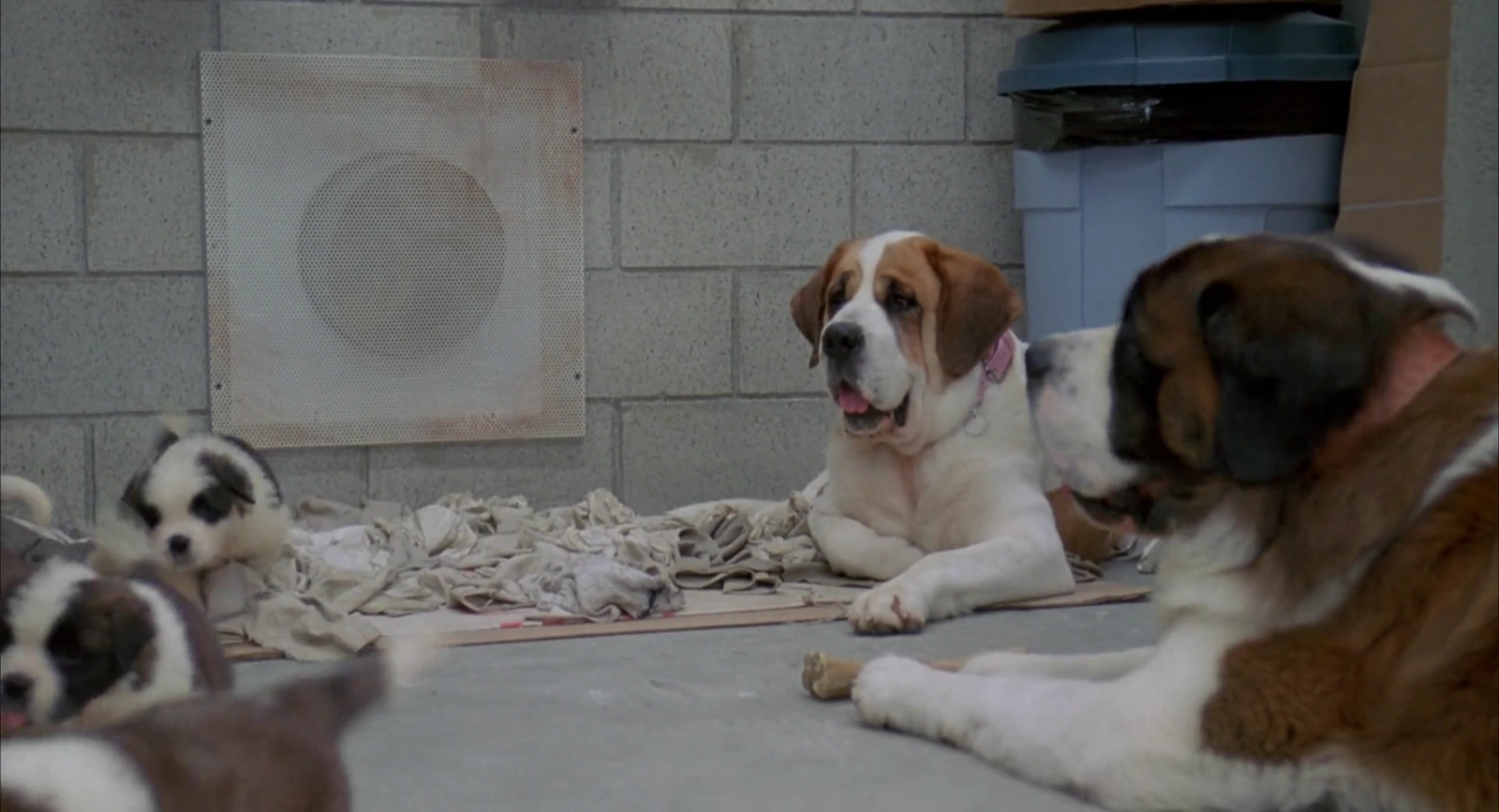 Beethoven's 2nd screenshot 2