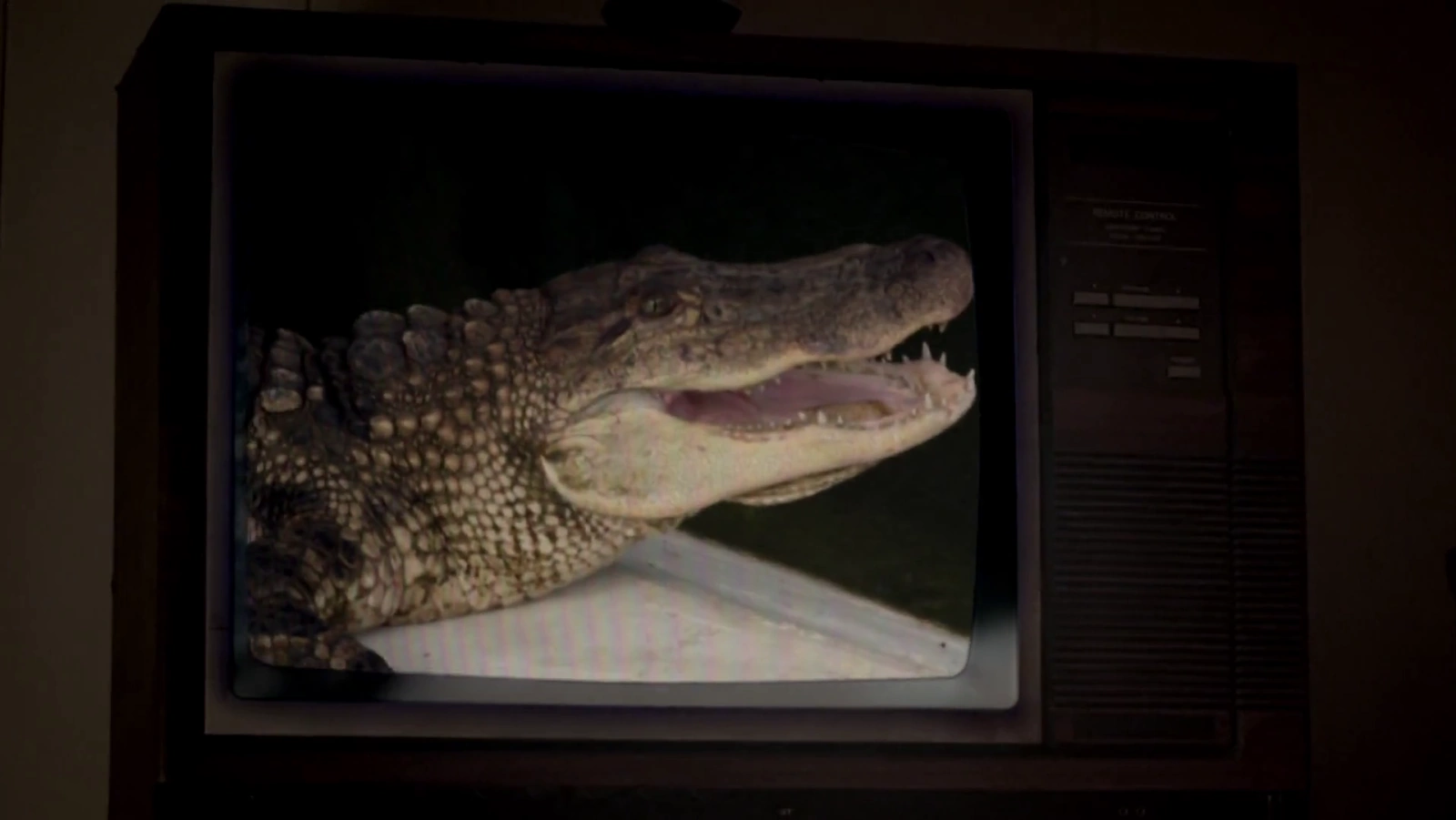 Ragin Cajun Redneck Gators screenshot 5
