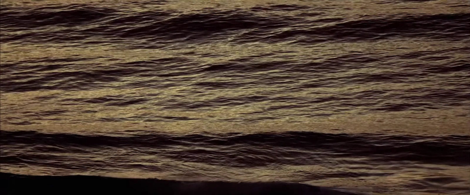 Strangers in a Car Park screenshot 2