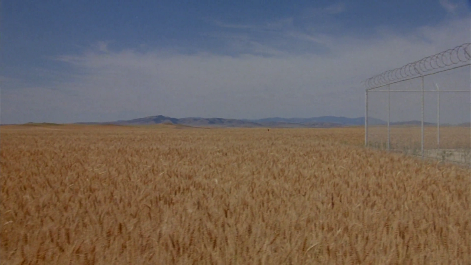 Amazing Grace and Chuck screenshot 3
