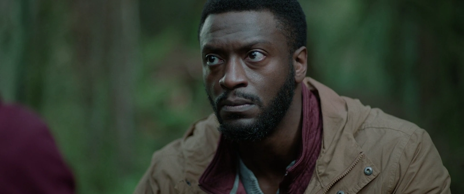 Parallel screenshot 5