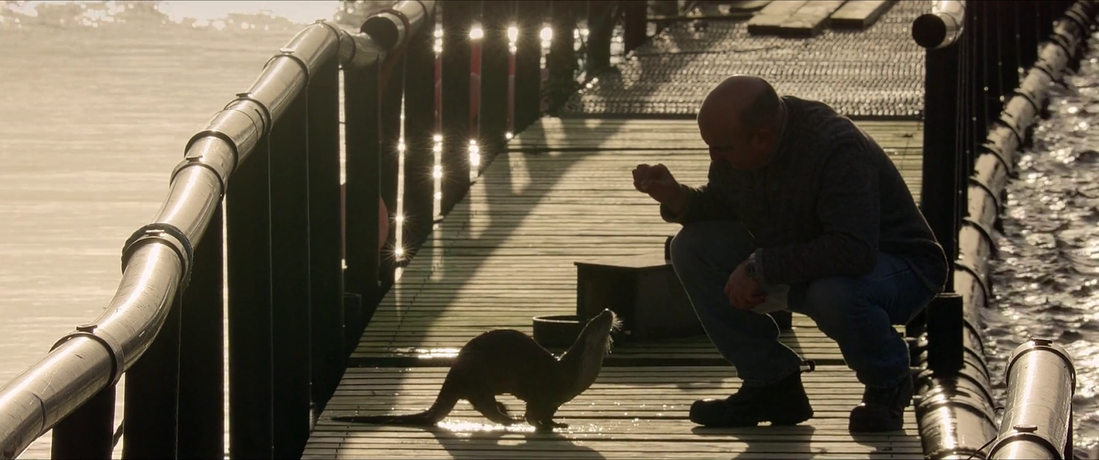 Billy & Molly: An Otter Love Story screenshot 1
