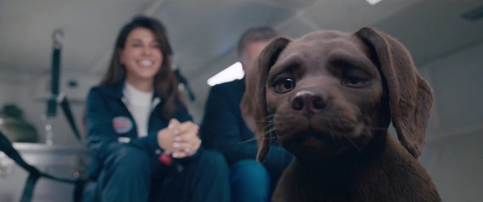 Cat and Dog screenshot 3