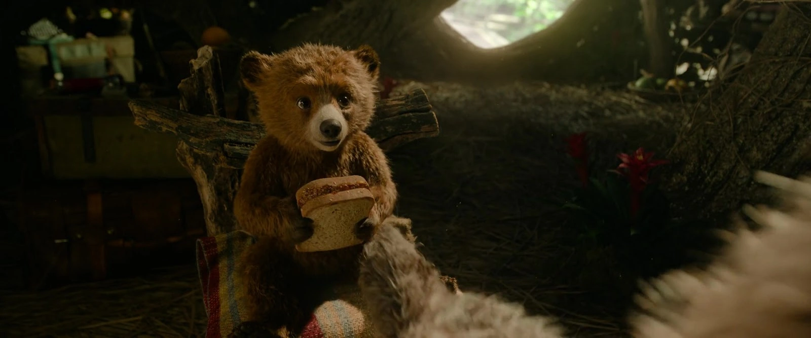 Paddington in Peru screenshot 1