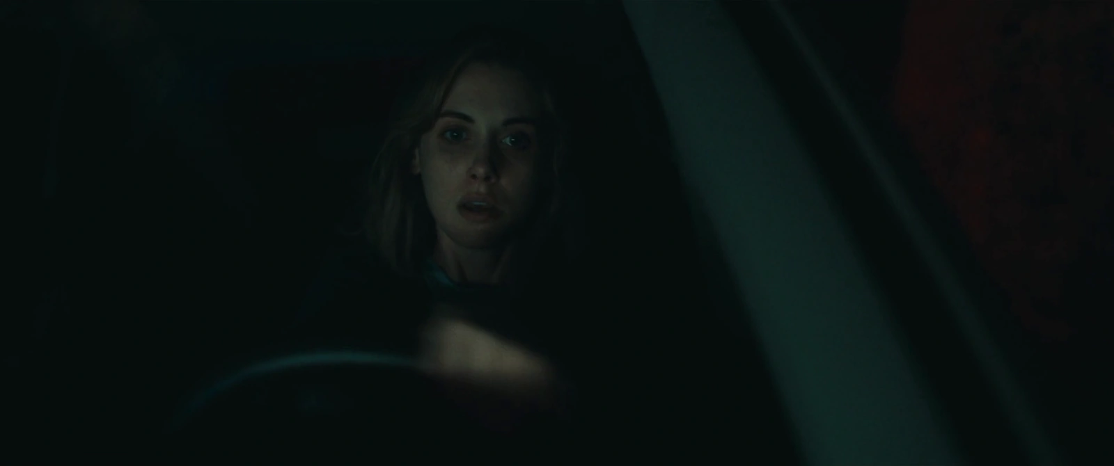 The Rental screenshot 5