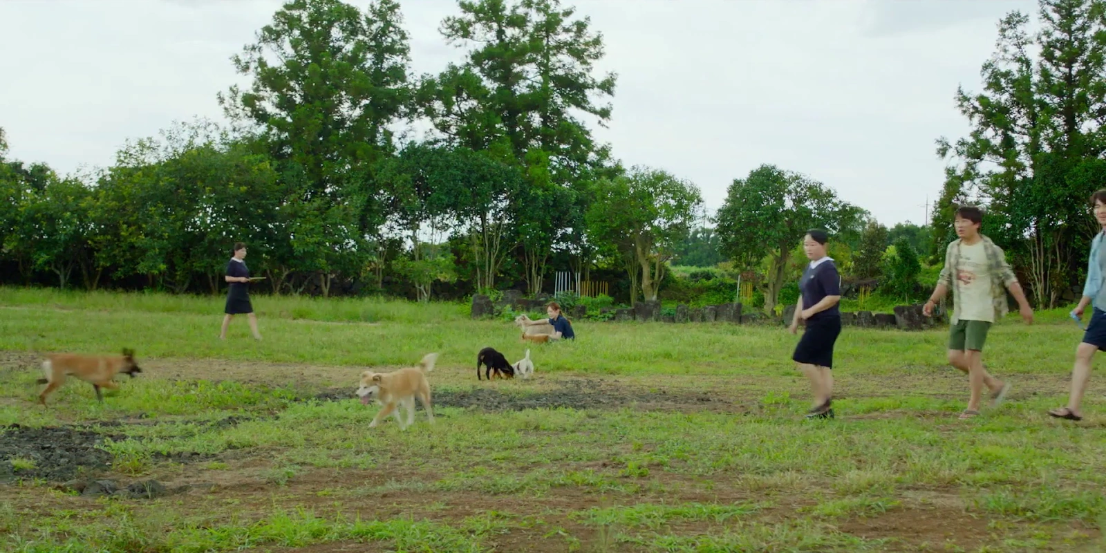 My Heart Puppy screenshot 3