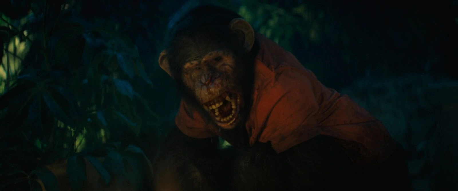 Primate screenshot 4