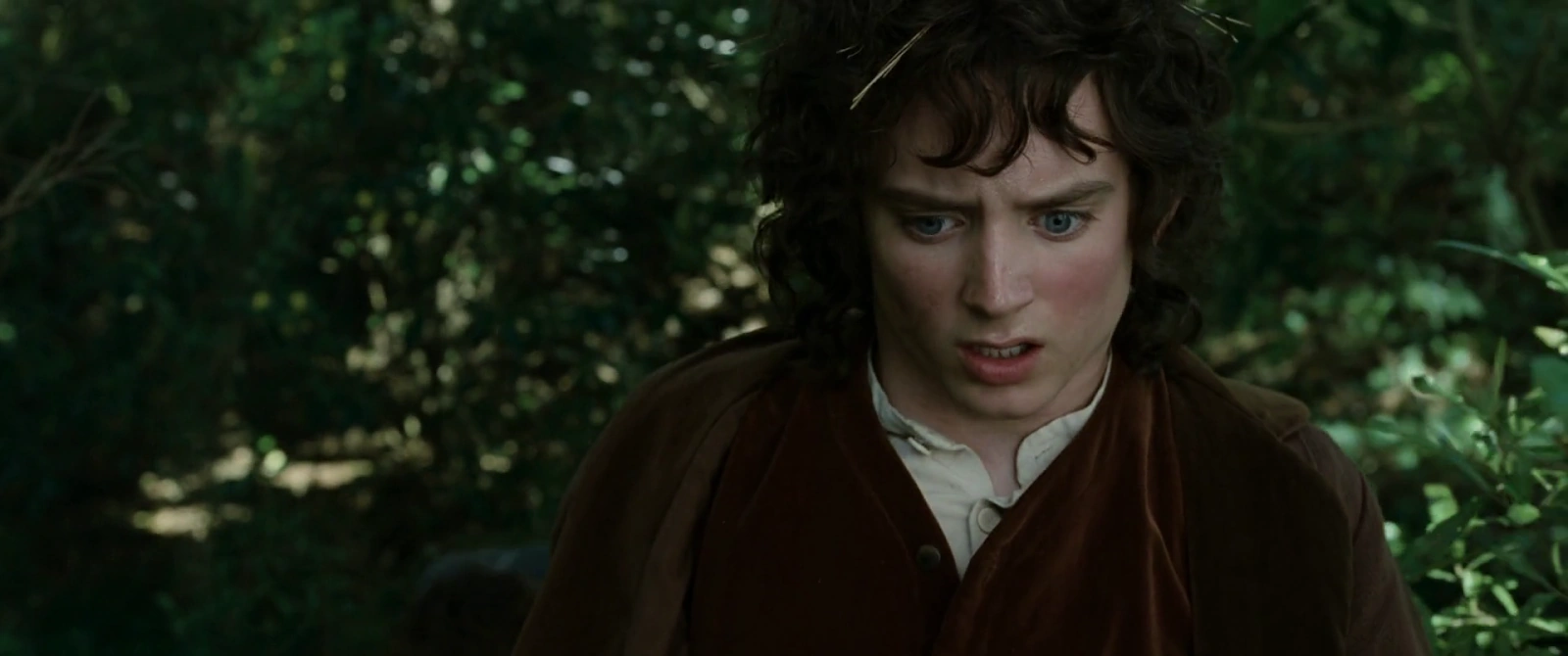 The Lord of the Rings: The Fellowship of the Ring screenshot 4