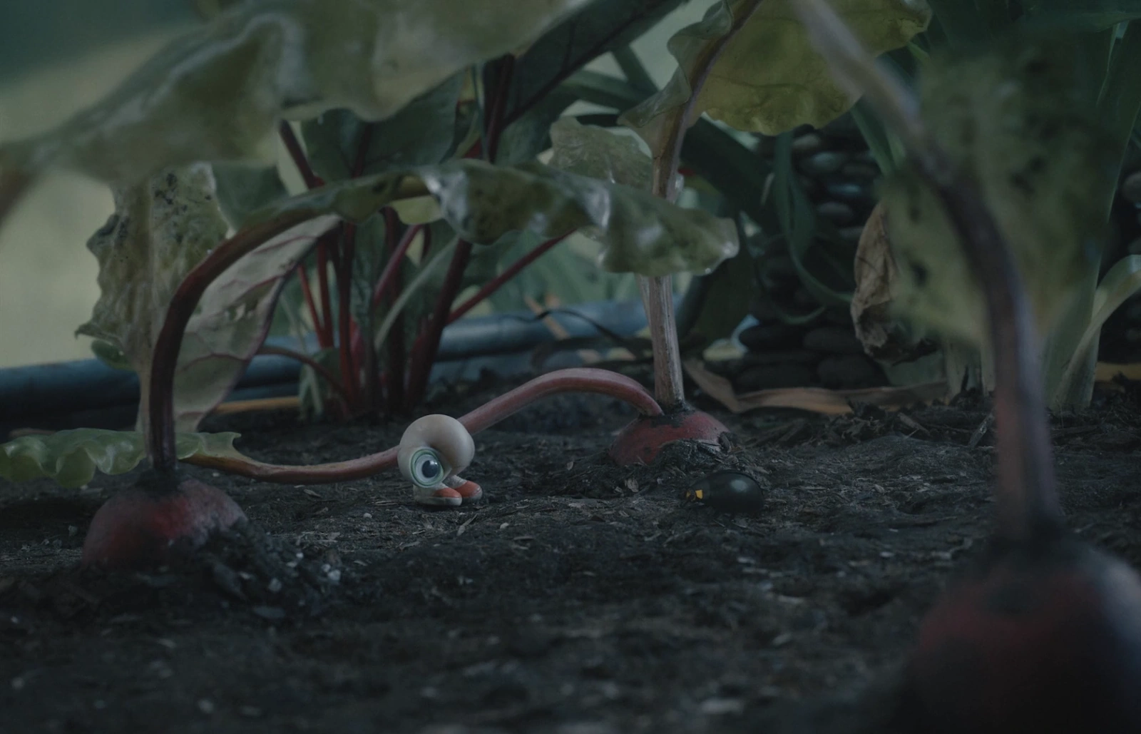 Marcel the Shell with Shoes On screenshot 2