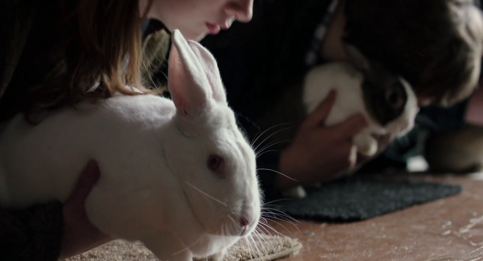 Leave No Trace screenshot 4