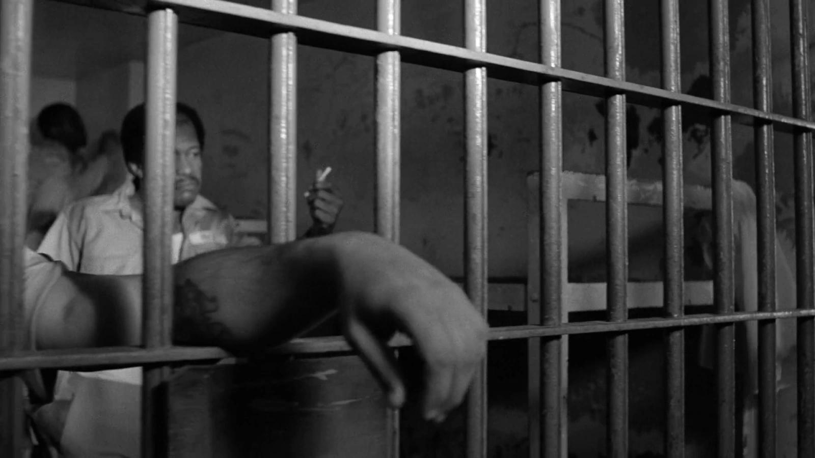 Down by Law screenshot 1