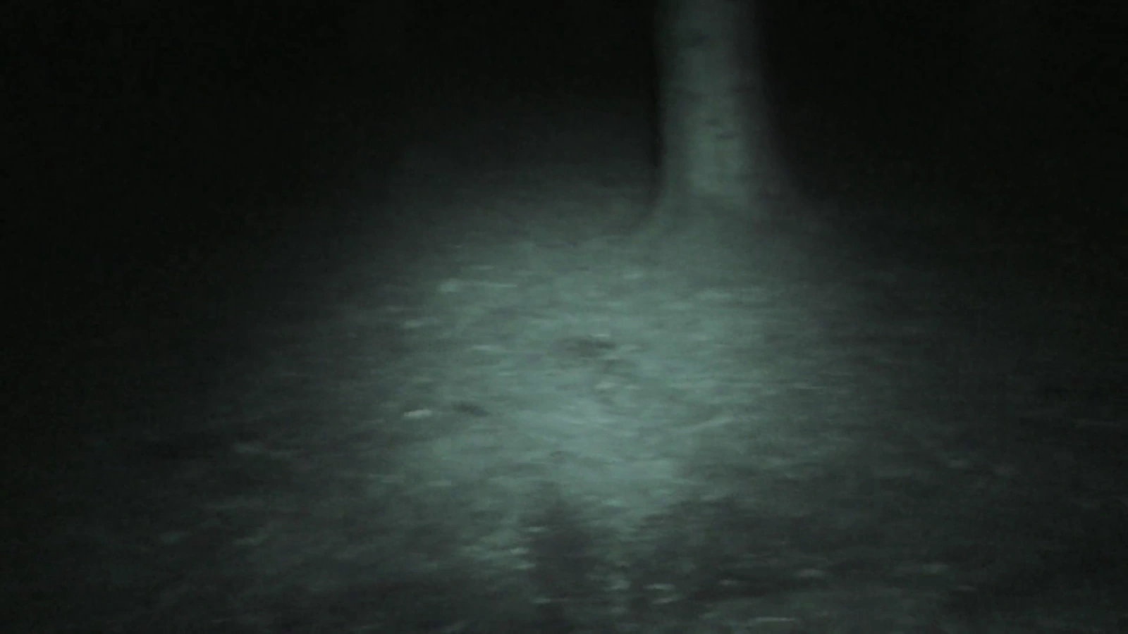 Crone Wood screenshot 3
