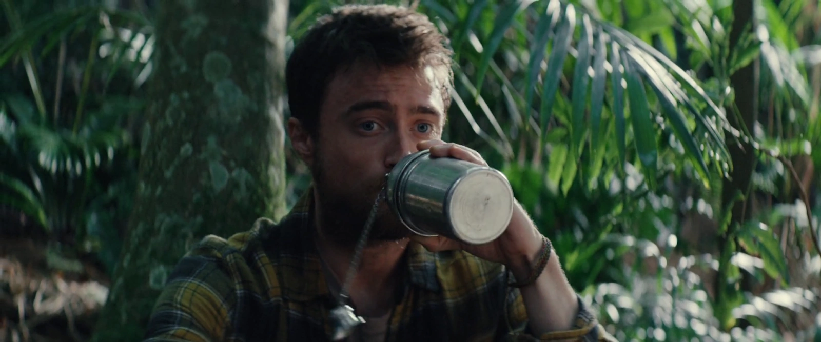 Jungle screenshot 3