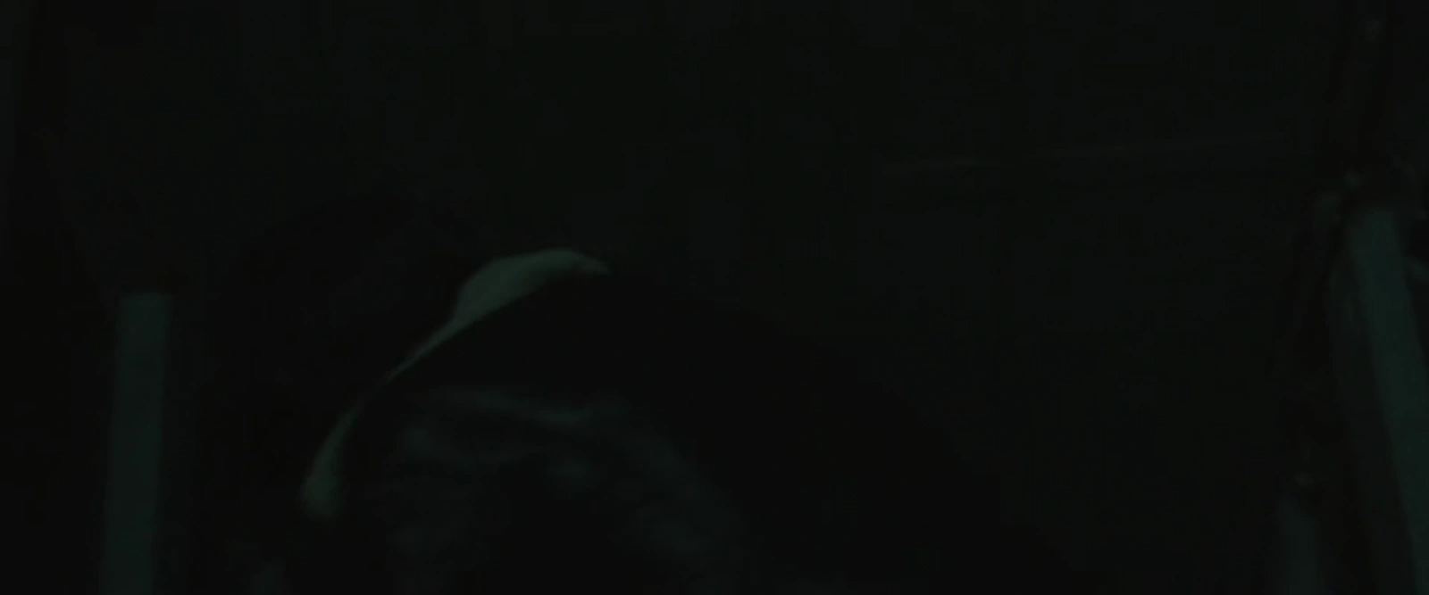 Invader screenshot 2