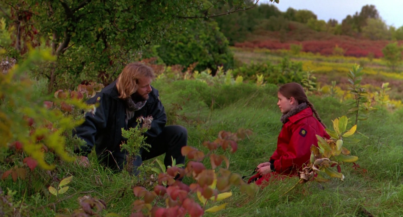 Fly Away Home screenshot 4