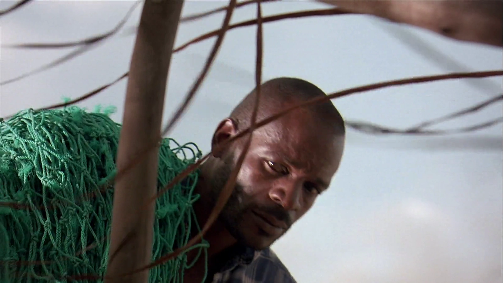 Three screenshot 4