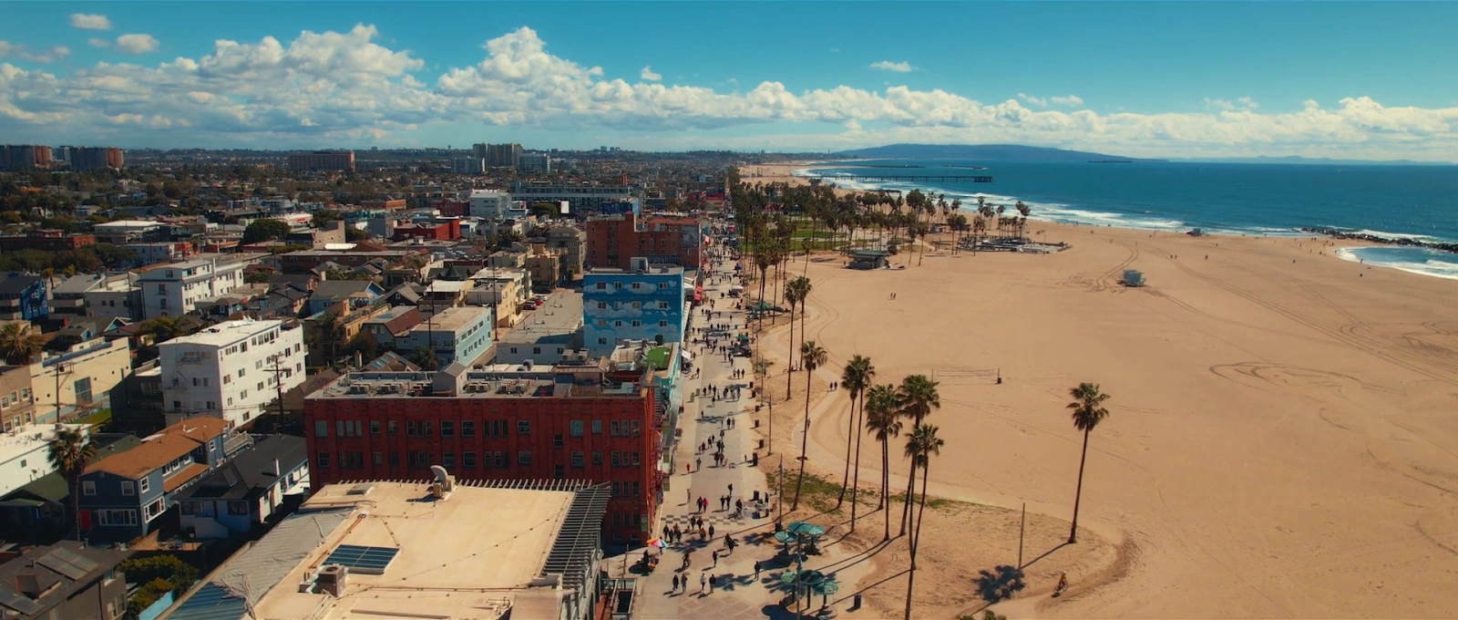 Trainwreck: The Cult of American Apparel screenshot 5