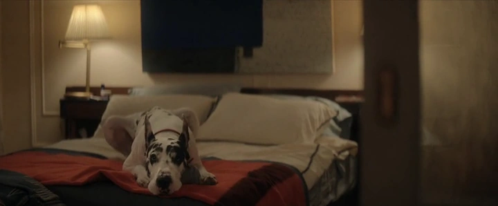 The Friend screenshot 1
