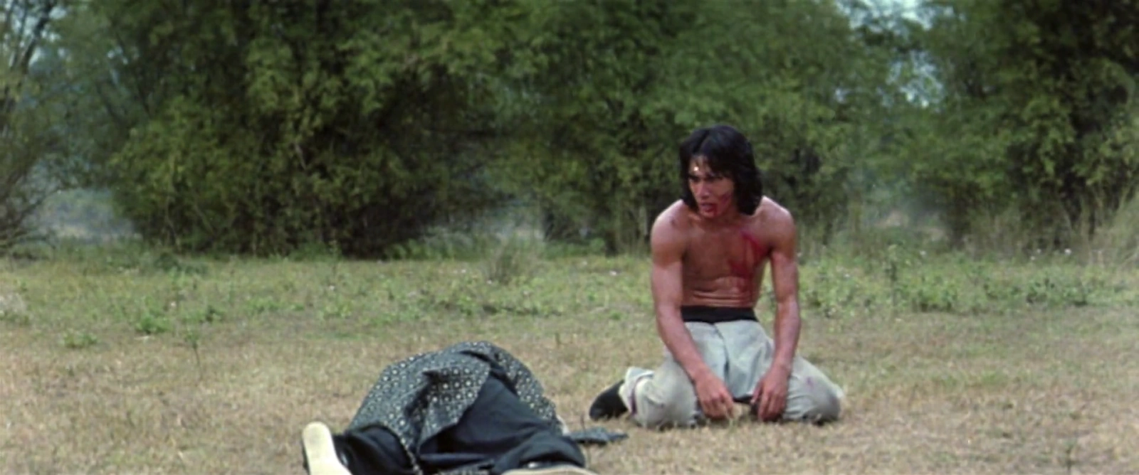 Fearless Hyena 2 screenshot 4