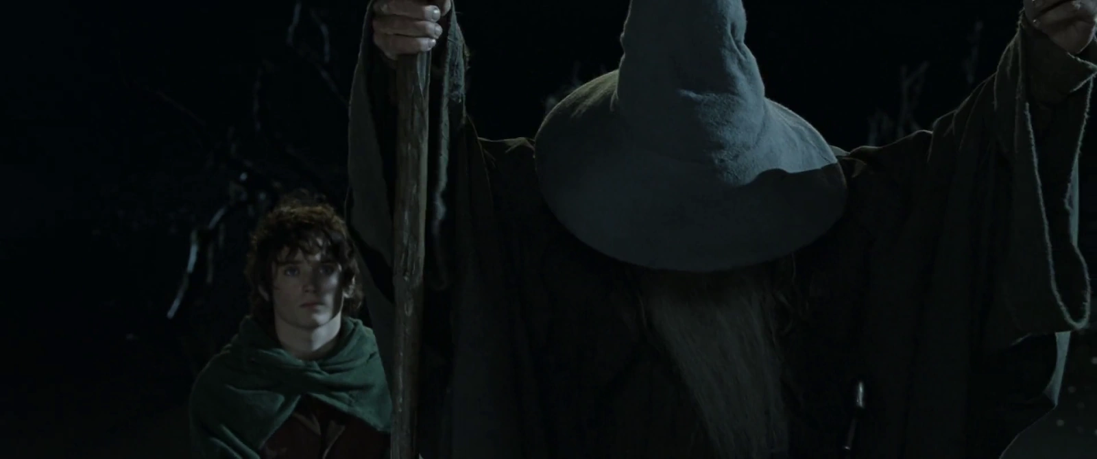 The Lord of the Rings: The Fellowship of the Ring screenshot 1