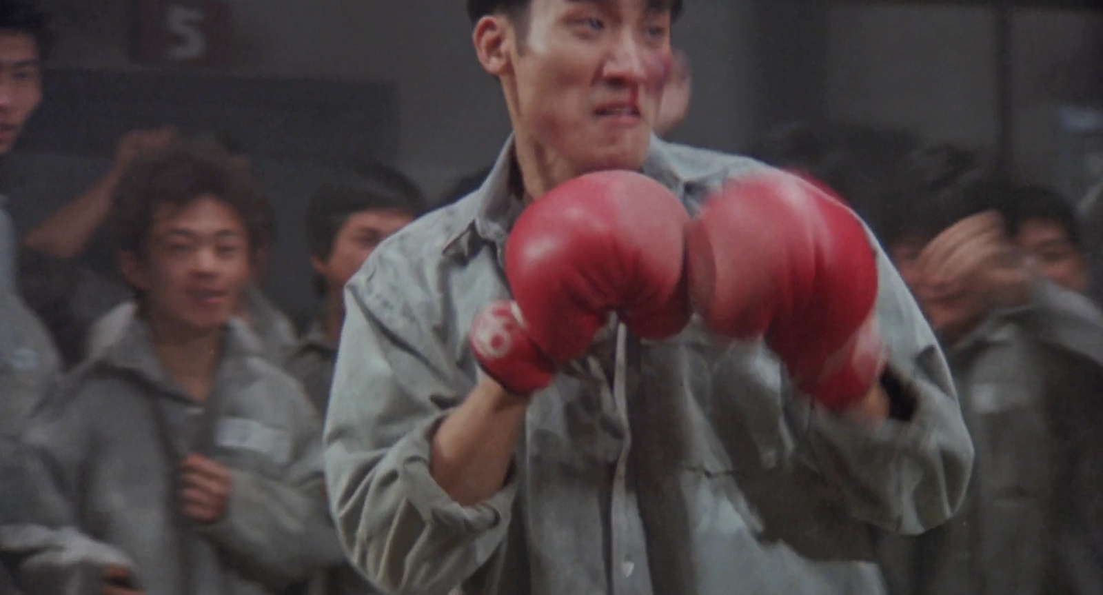 Jacquot screenshot 5
