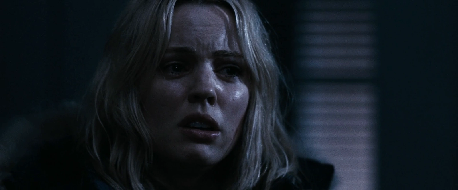 30 Days of Night screenshot 1