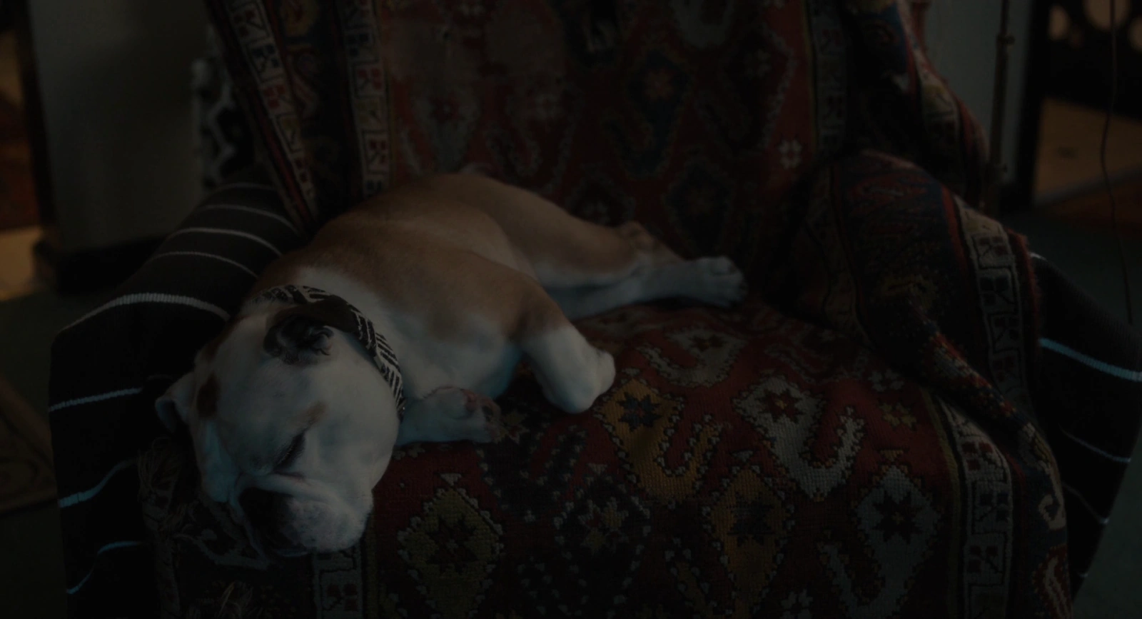 Paterson screenshot 1
