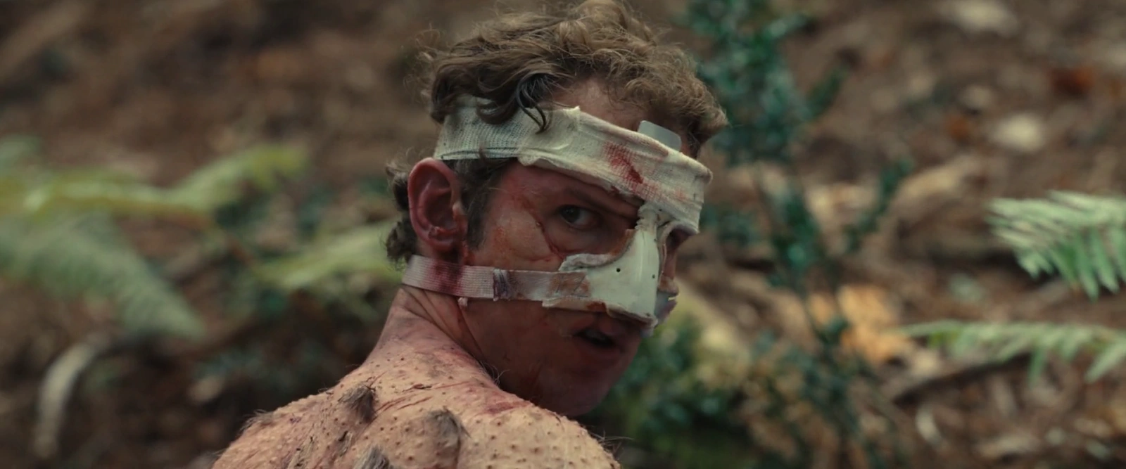 The Animal Kingdom screenshot 4