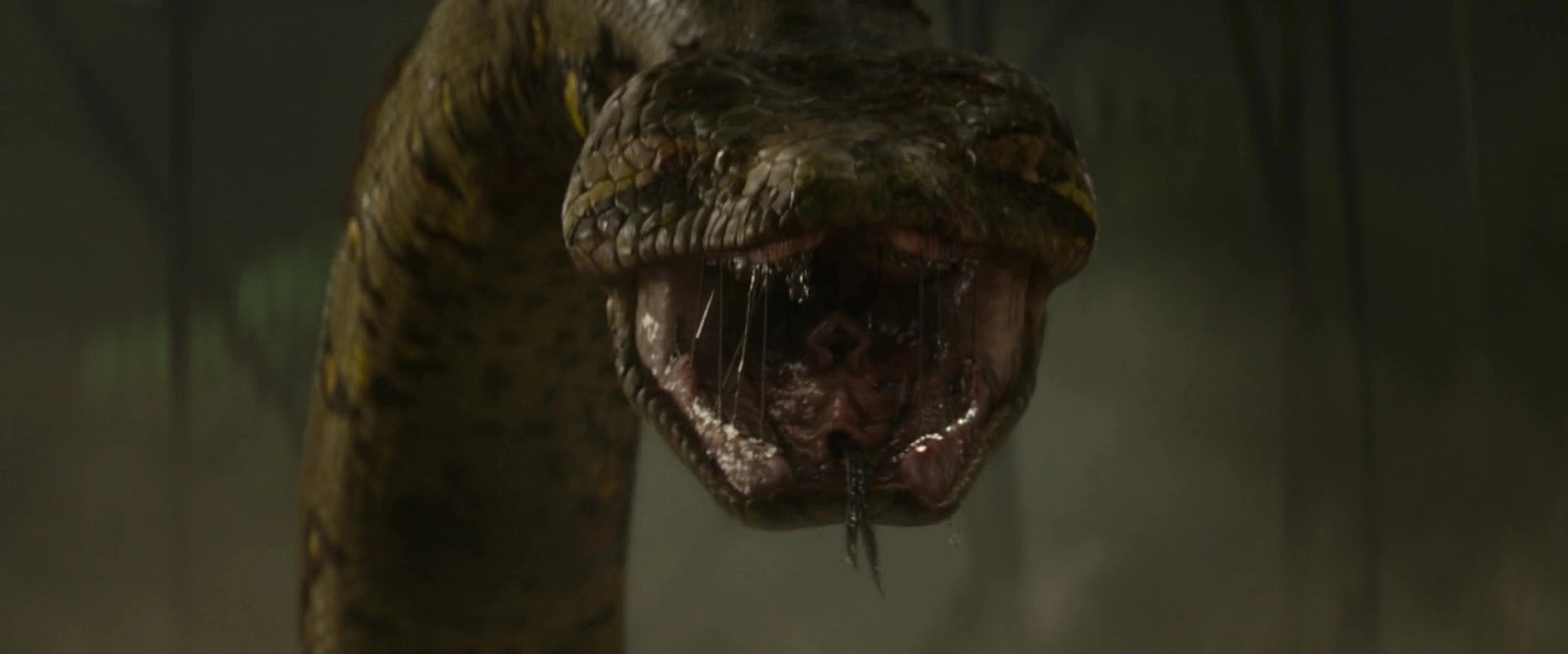 Anaconda screenshot 5