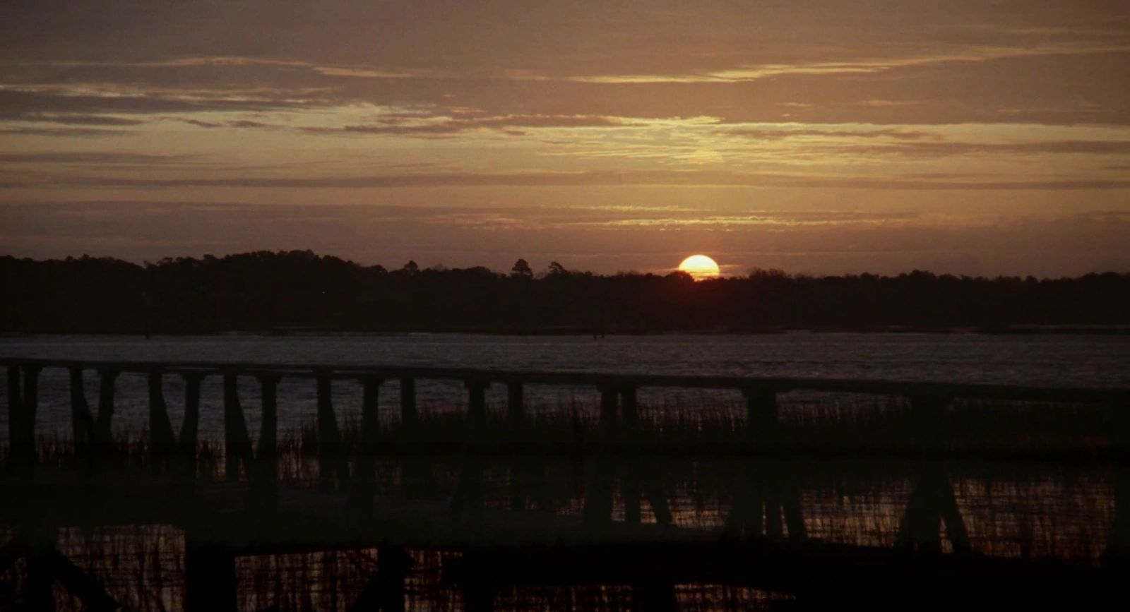The Big Chill screenshot 5