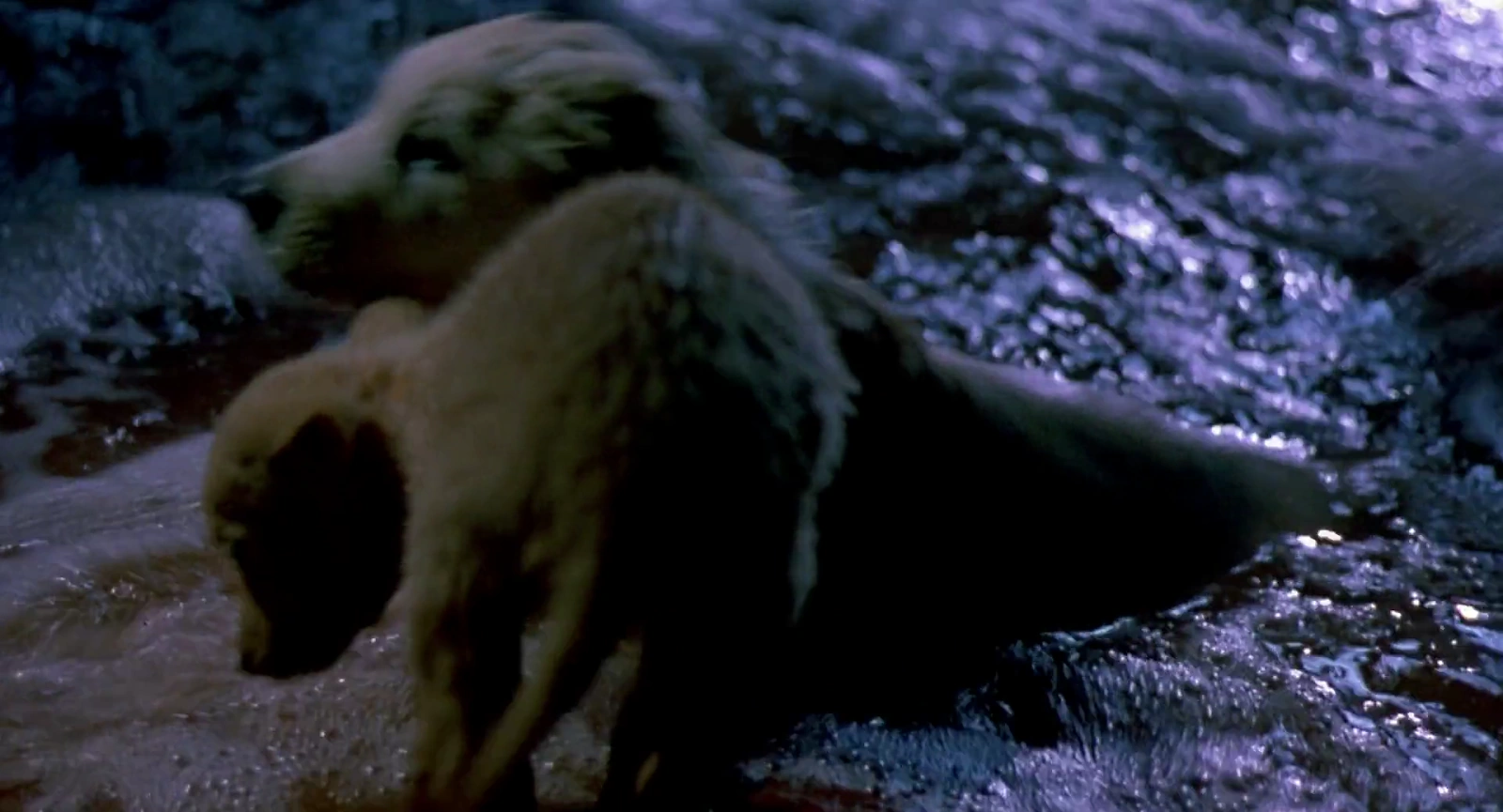 Napoleon screenshot 4