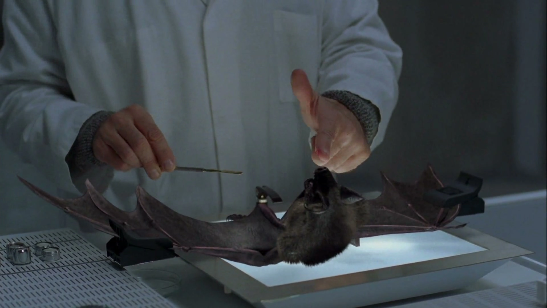 Bats: Human Harvest screenshot 2