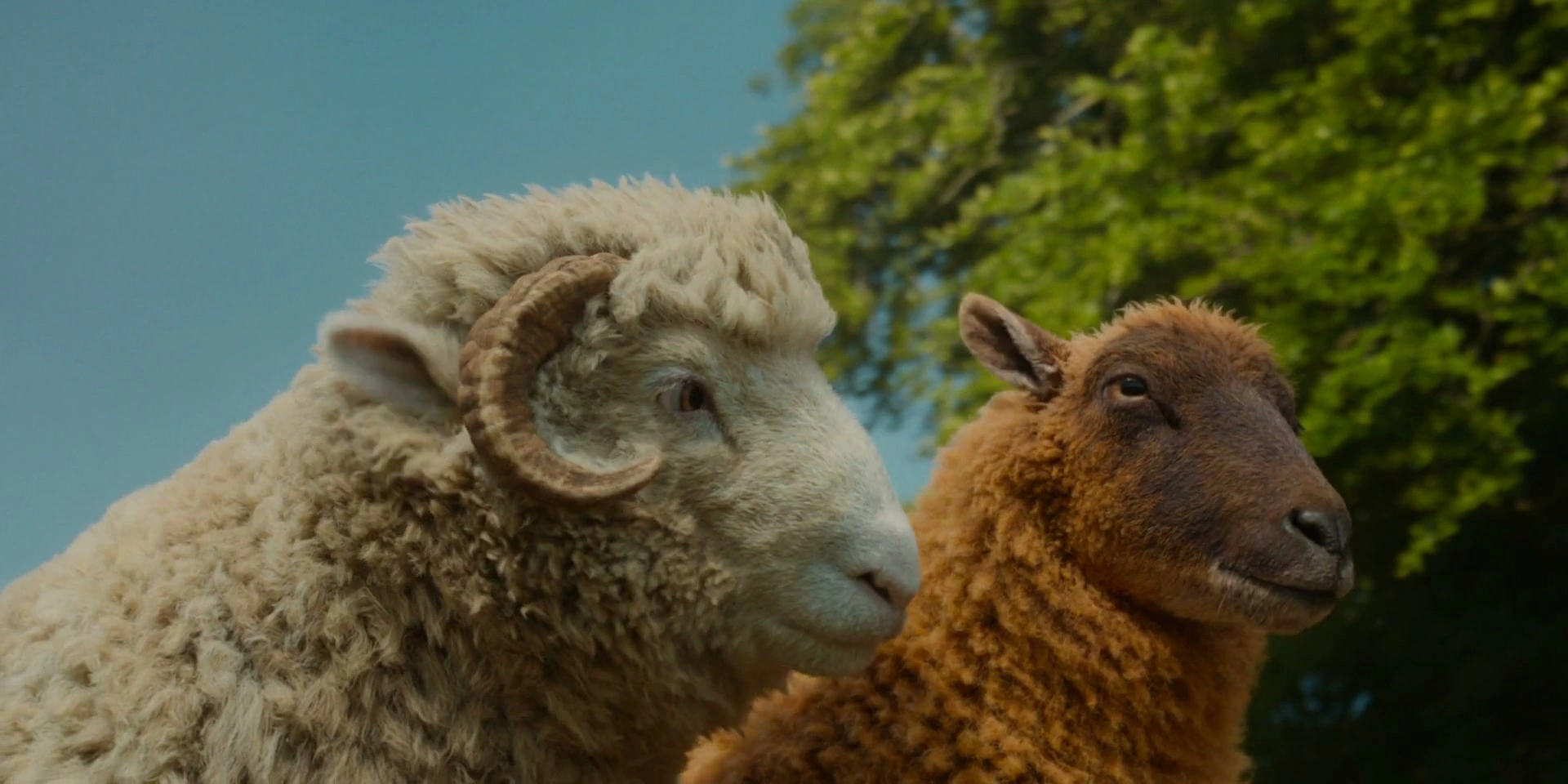 The Sheep Detectives screenshot 1