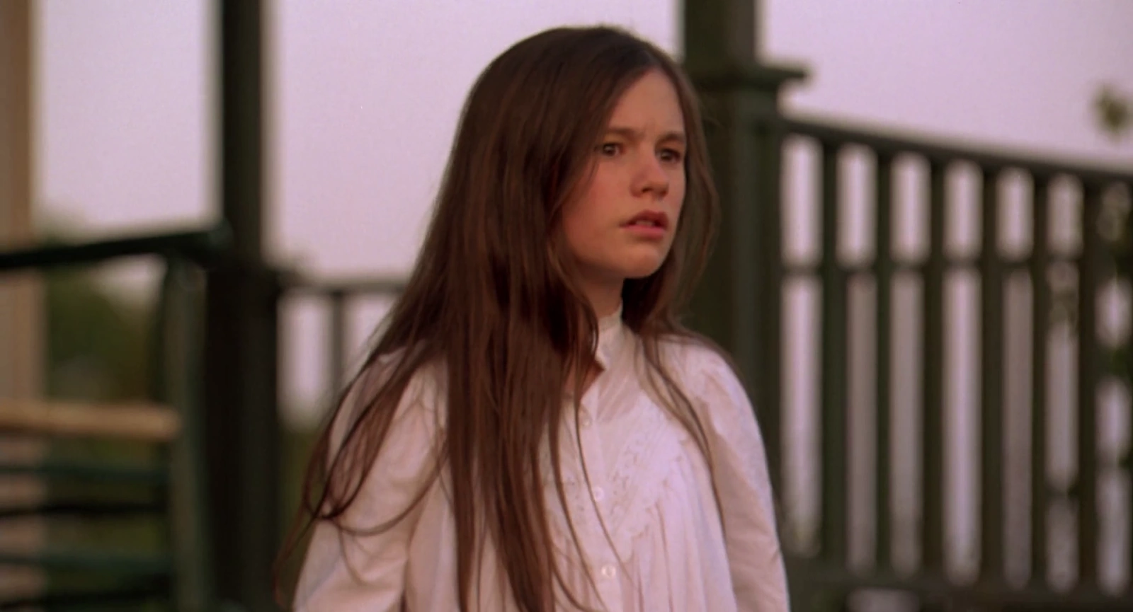 Fly Away Home screenshot 1