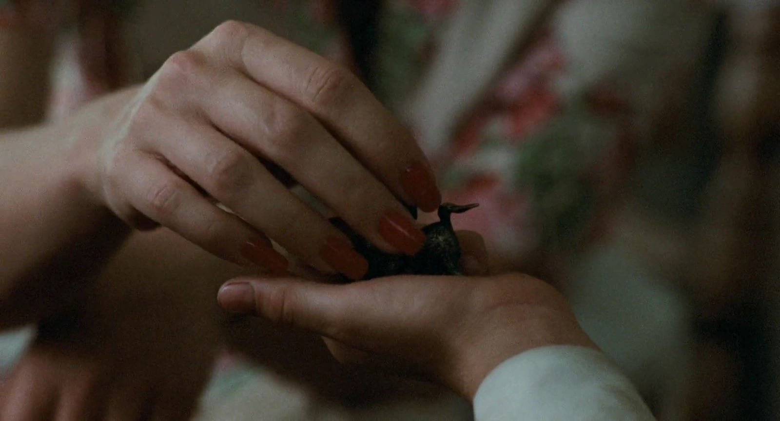 The Black Stallion screenshot 4