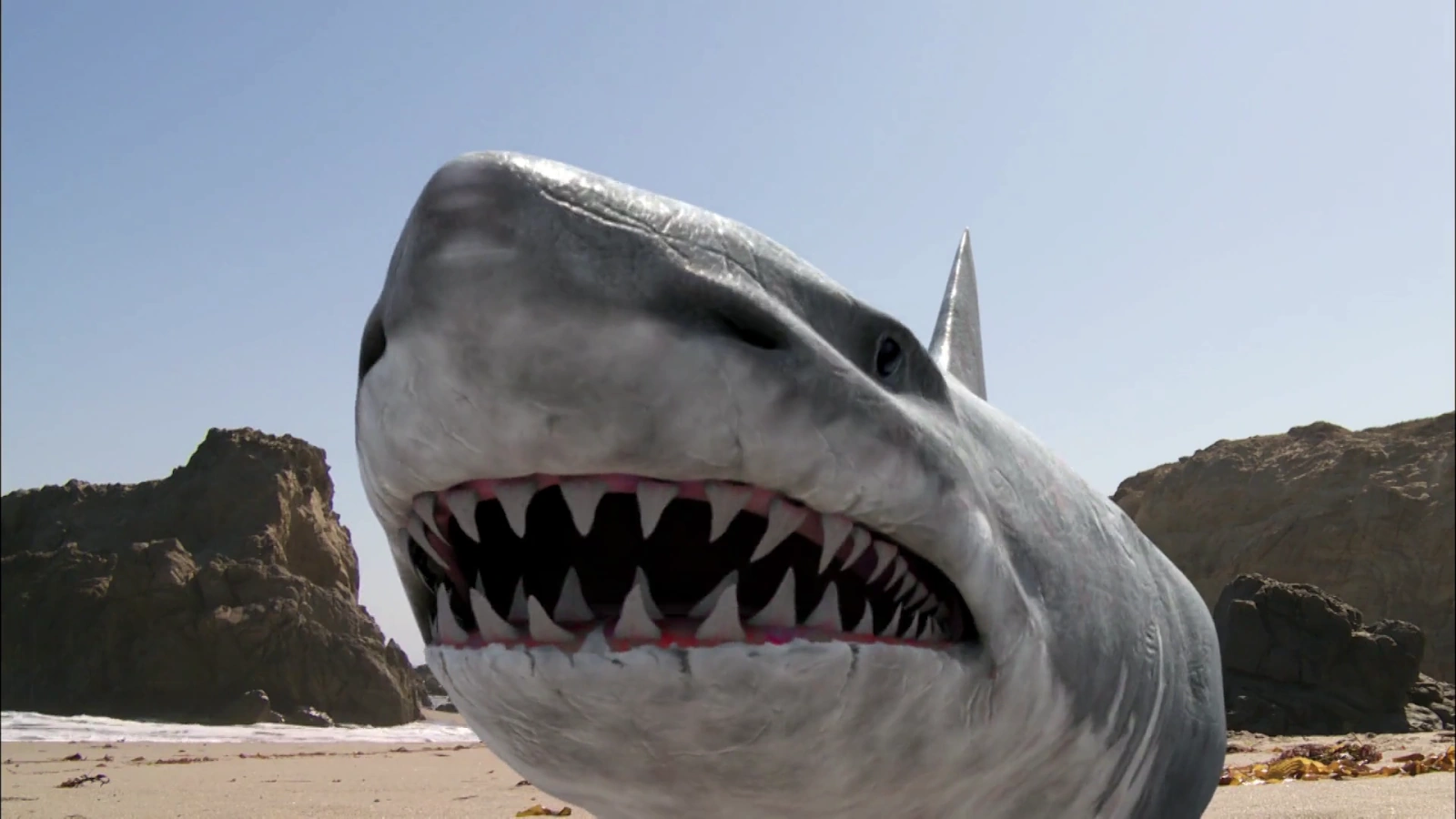 Super Shark screenshot 5