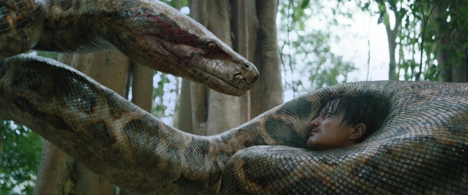 Anaconda screenshot 4