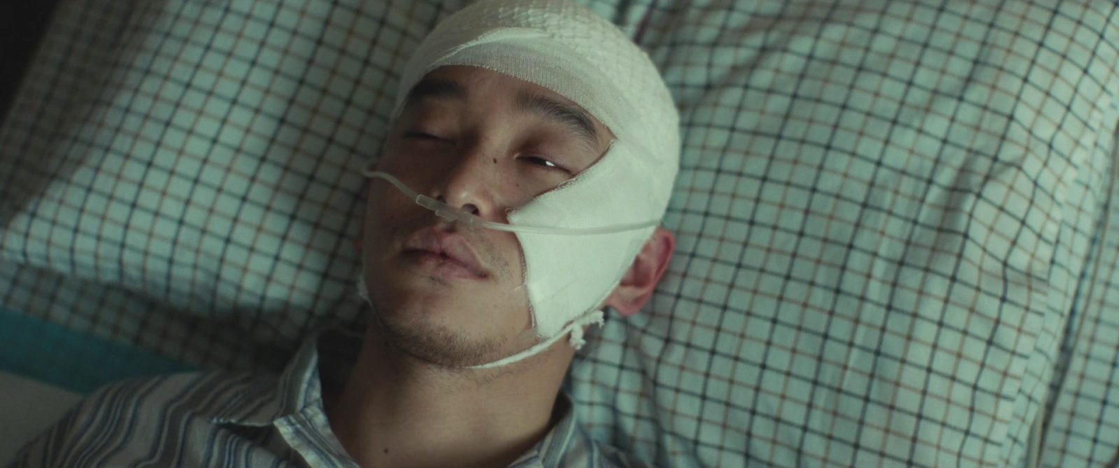 Viva La Vida screenshot 1