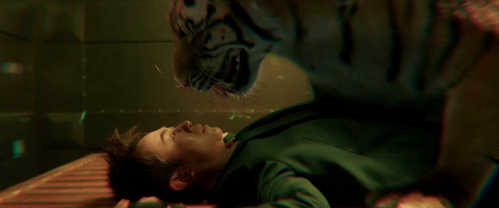 Tiger Robbers screenshot 5