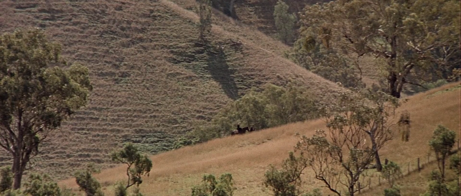 The Chant of Jimmie Blacksmith screenshot 5