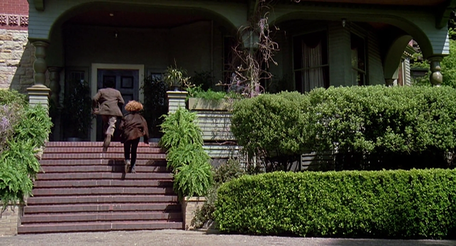 Out on a Limb screenshot 2