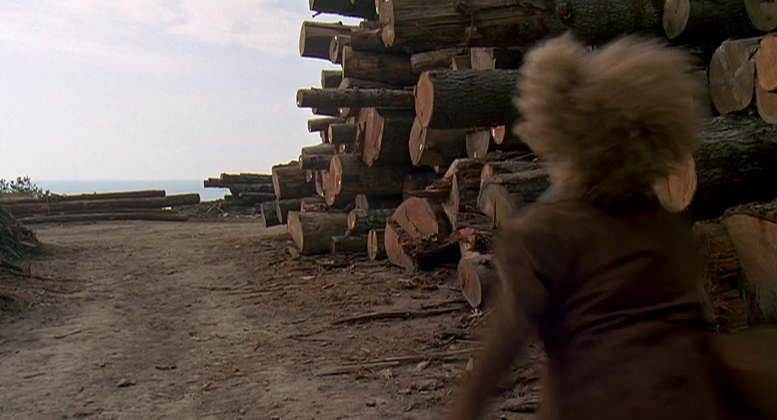 Out on a Limb screenshot 1